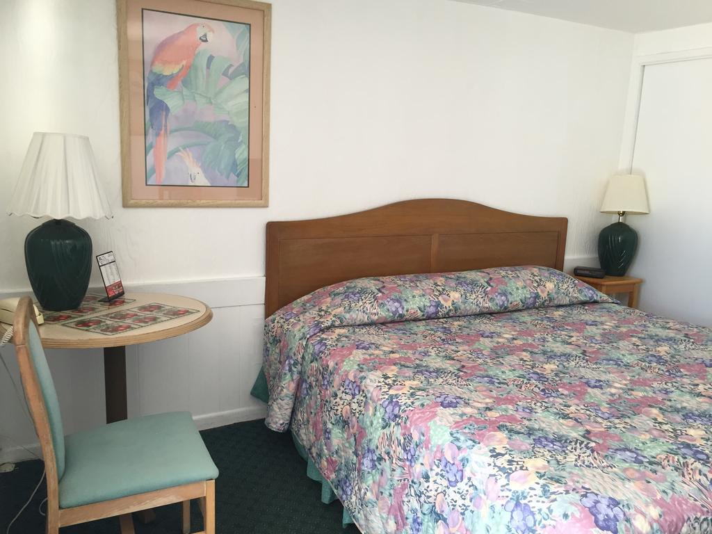 Sea Cove Motel بومبانو بيتش المظهر الخارجي الصورة