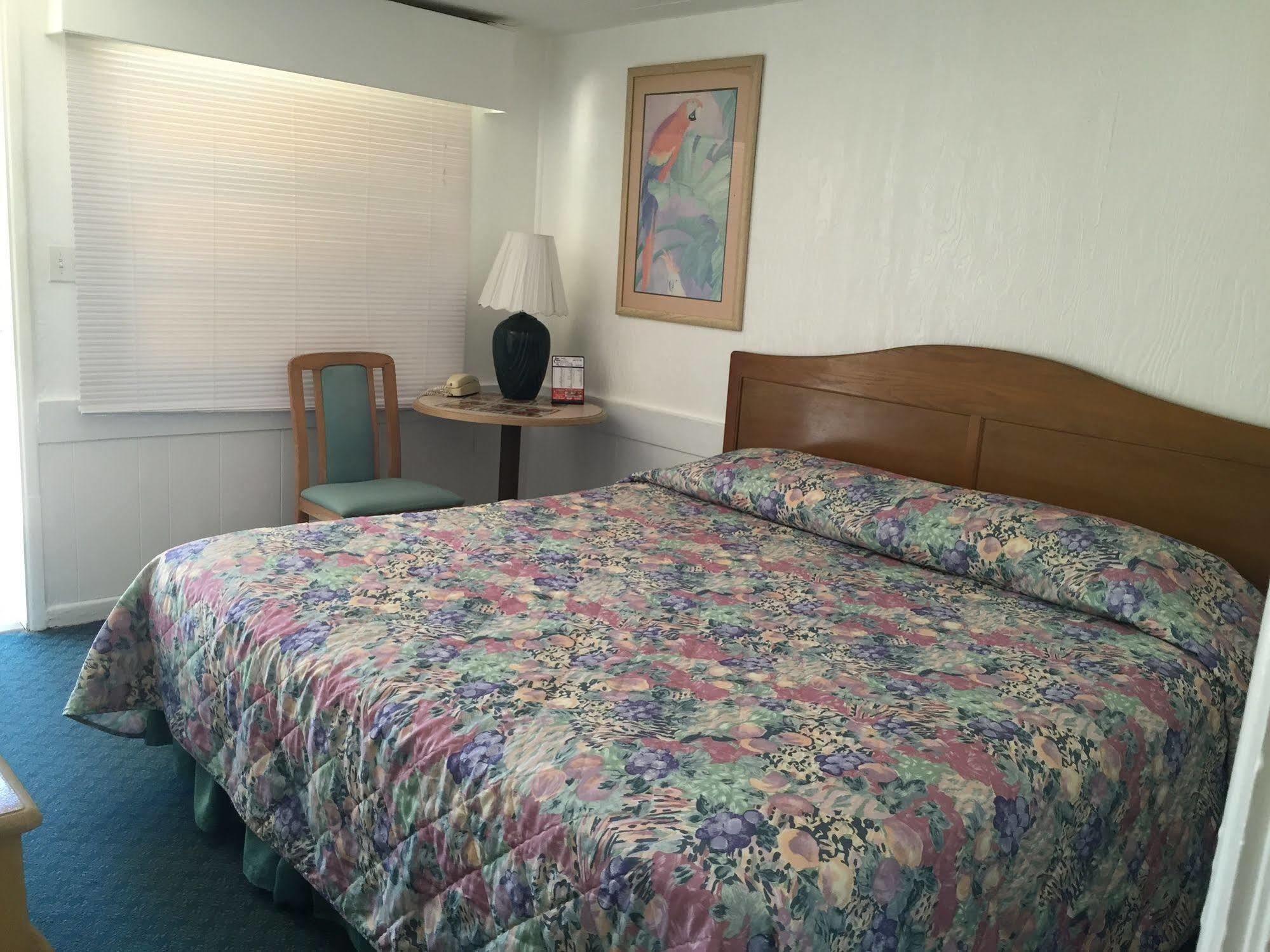 Sea Cove Motel بومبانو بيتش المظهر الخارجي الصورة